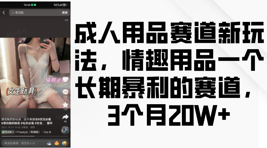 情趣用品一个长期暴利的赛道，成人用品赛道新玩法，3个月20W+|琦哥资源