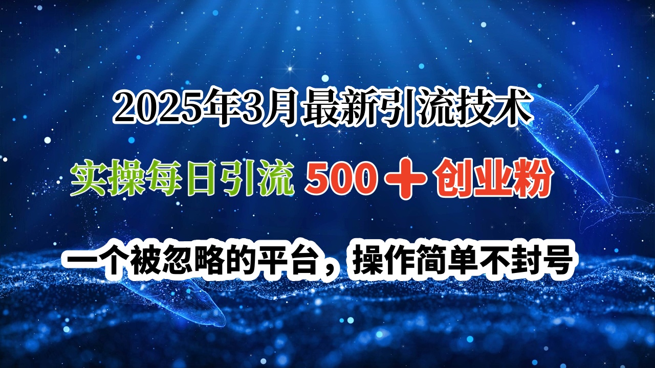 2025年3月最新引流技术，实操每日引流500➕创业粉，一个被忽略的平台，操作简单不封号|琦哥资源