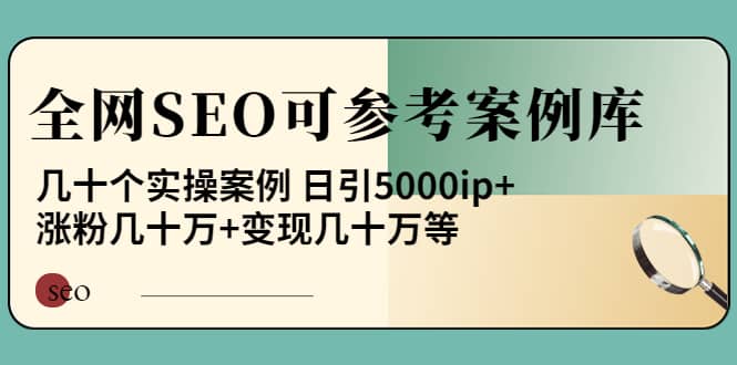 《全网SEO可参考案例库》几十个实操案例|琦哥资源