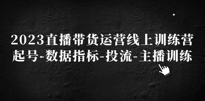 2023直播带货运营线上训练营，起号-数据指标-投流-主播训练|琦哥资源