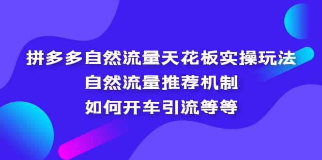 拼多多自然流量天花板实操玩法：自然流量推荐机制，如何开车引流等等|琦哥资源