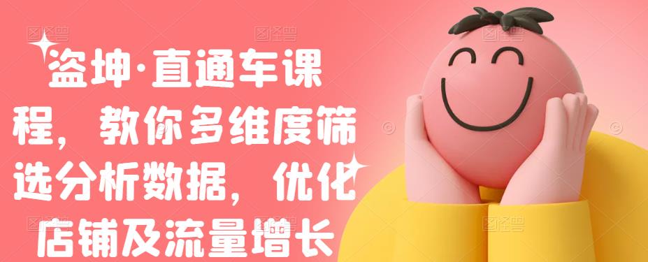 盗坤·直通车课程，教你多维度筛选分析数据，优化店铺及流量增长|琦哥资源