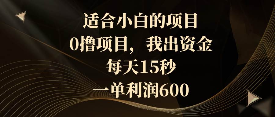 适合小白的项目，0撸项目，我出资金，每天15秒，一单利润600|琦哥资源