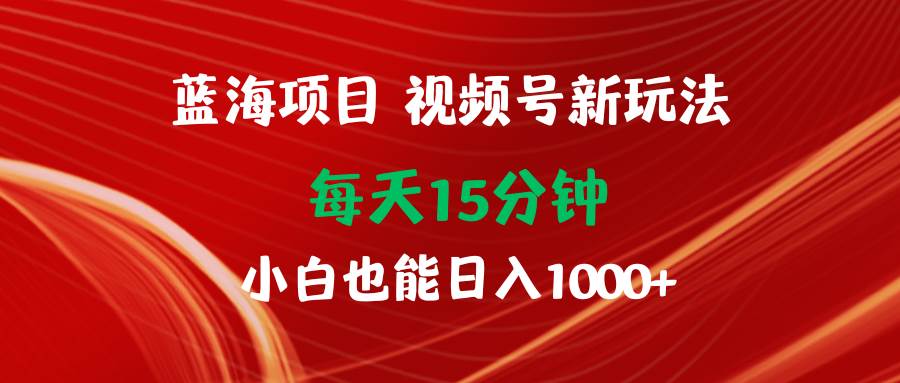 蓝海项目视频号新玩法 每天15分钟 小白也能日入1000+|琦哥资源