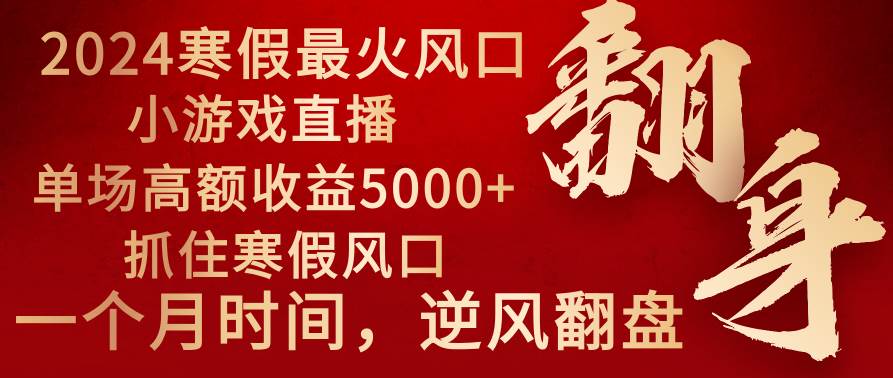 2024年最火寒假风口项目 小游戏直播 单场收益5000+抓住风口 一个月直接提车|琦哥资源