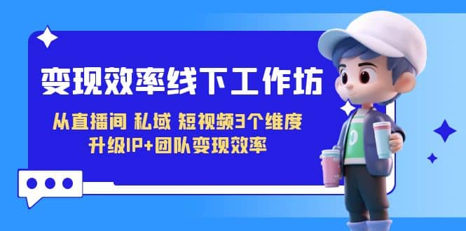 变现-效率线下工作坊，从直播间、私域、短视频3个维度 升级IP+团队变现效率|琦哥资源