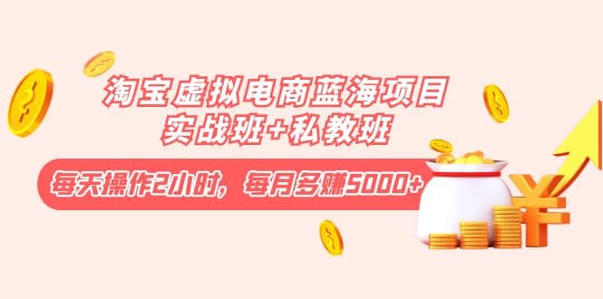 淘宝虚拟电商蓝海项目实战班+私教班|琦哥资源