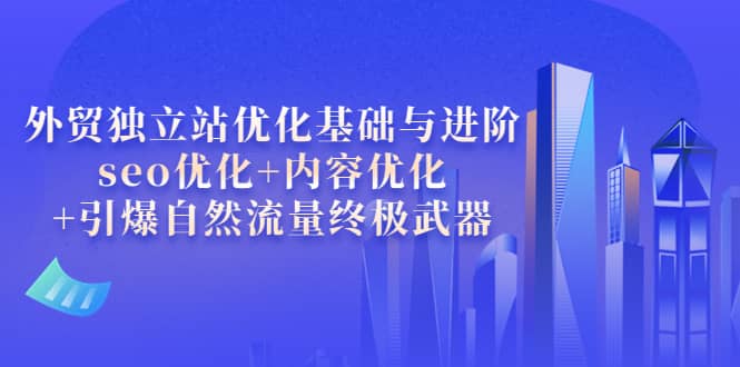 外贸独立站优化基础与进阶，seo优化+内容优化+引爆自然流量终极武器|琦哥资源