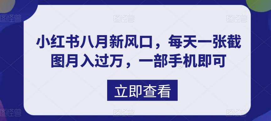 八月新风口，小红书虚拟项目一天收入1000+，实战揭秘|琦哥资源