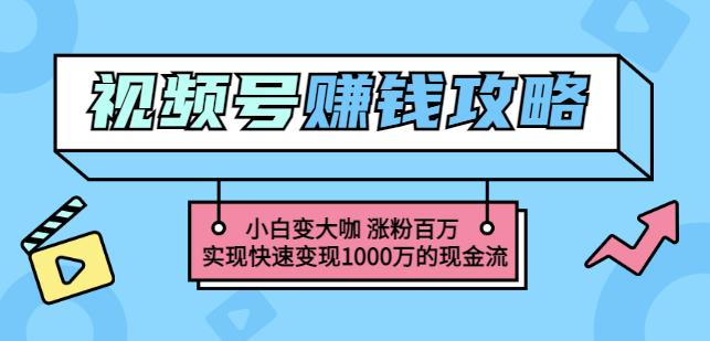 玩转微信视频号赚钱：小白变大咖涨粉百万实现快速变现1000万的现金流|琦哥资源
