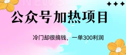 冷门公众号加热项目，一单利润300+|琦哥资源