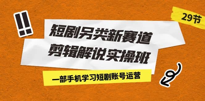 短剧另类新赛道剪辑解说实操班：一部手机学习短剧账号运营（29节 价值500）|琦哥资源