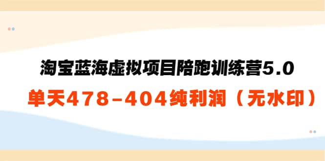 淘宝蓝海虚拟项目陪跑训练营5.0：单天478纯利润（无水印）|琦哥资源