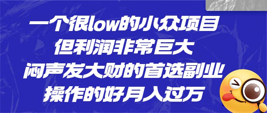 一个很low的小众项目，但利润非常巨大，闷声发大财的首选副业，月入过万|琦哥资源