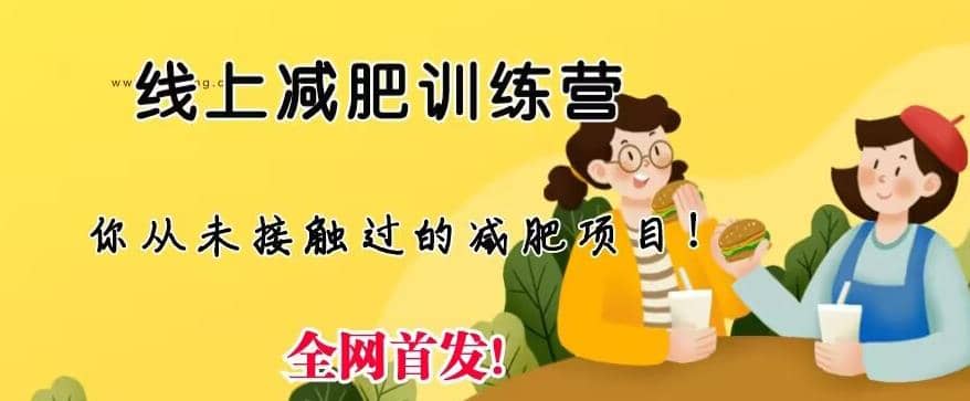 线上减肥训练营，足不出户，仅靠拉几个社群，发几条朋友圈，就可以月实现入五位【揭秘】|琦哥资源