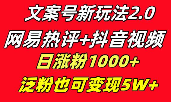 文案号新玩法 网易热评+抖音文案 一天涨粉1000+ 多种变现模式 泛粉也可变现|琦哥资源