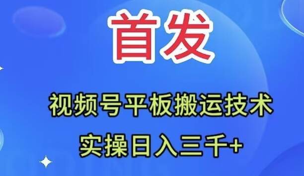 全网首发：视频号平板搬运技术，实操日入三千＋|琦哥资源