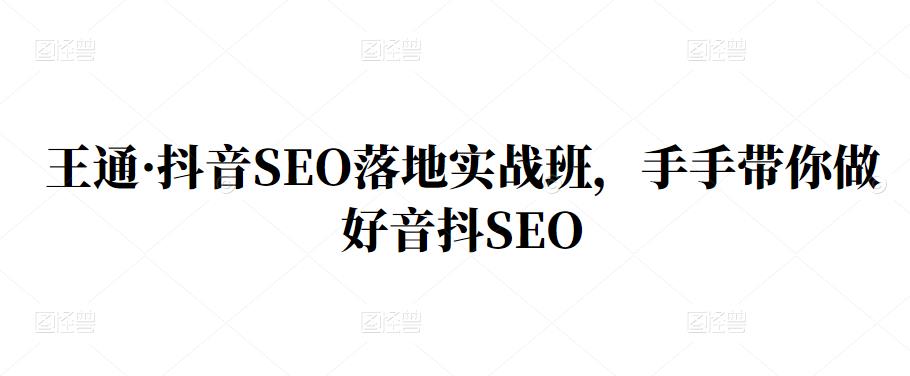 王通·抖音SEO落地实战班，手‬手带你做好音抖‬‬SEO|琦哥资源
