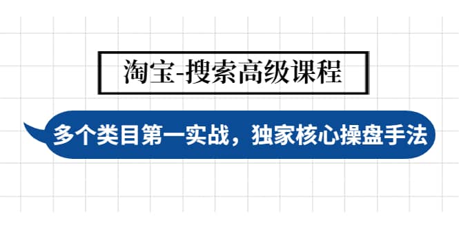 淘宝-搜索高级课程：多个类目第一实战，独家核心操盘手法|琦哥资源