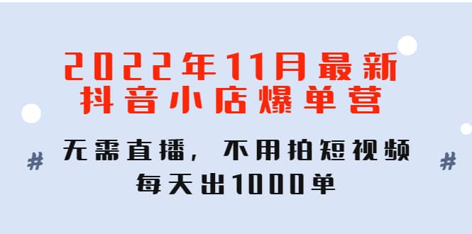 2022年11月最新抖音小店爆单训练营：无需直播，不用拍短视频，每天出1000单|琦哥资源