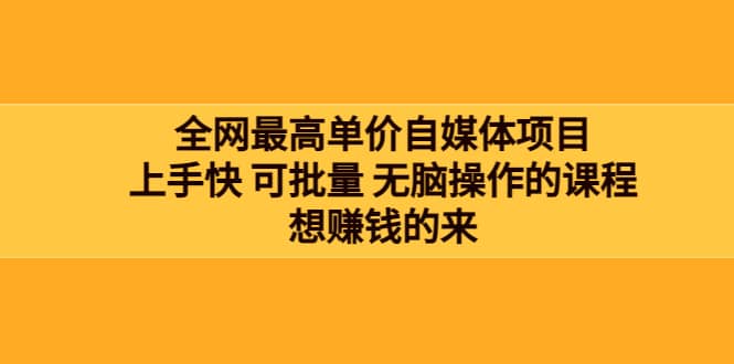 全网最单高价自媒体项目：上手快 可批量 无脑操作的课程，想赚钱的来|琦哥资源
