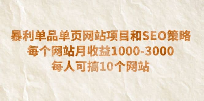 暴利单品单页网站项目和SEO策略 每个网站月收益1000-3000 每人可搞10个|琦哥资源