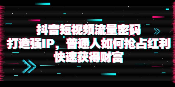 抖音短视频流量密码：打造强IP，普通人如何抢占红利，快速获得财富|琦哥资源
