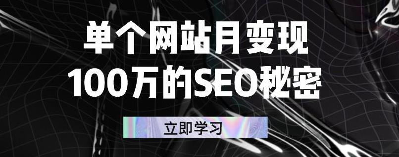 单个网站月变现100万的SEO秘密，百分百做出赚钱站点|琦哥资源