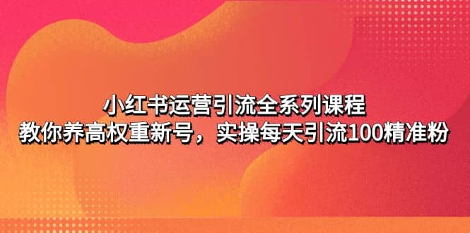 小红书运营引流全系列课程：教你养高权重新号|琦哥资源