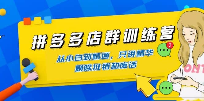 拼多多店群训练营：从小白到精通，只讲精华，剔除推销和废话|琦哥资源