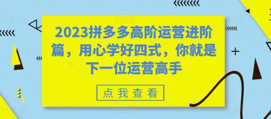 2023拼多多高阶运营进阶篇，用心学好四式，你就是下一位运营高手|琦哥资源