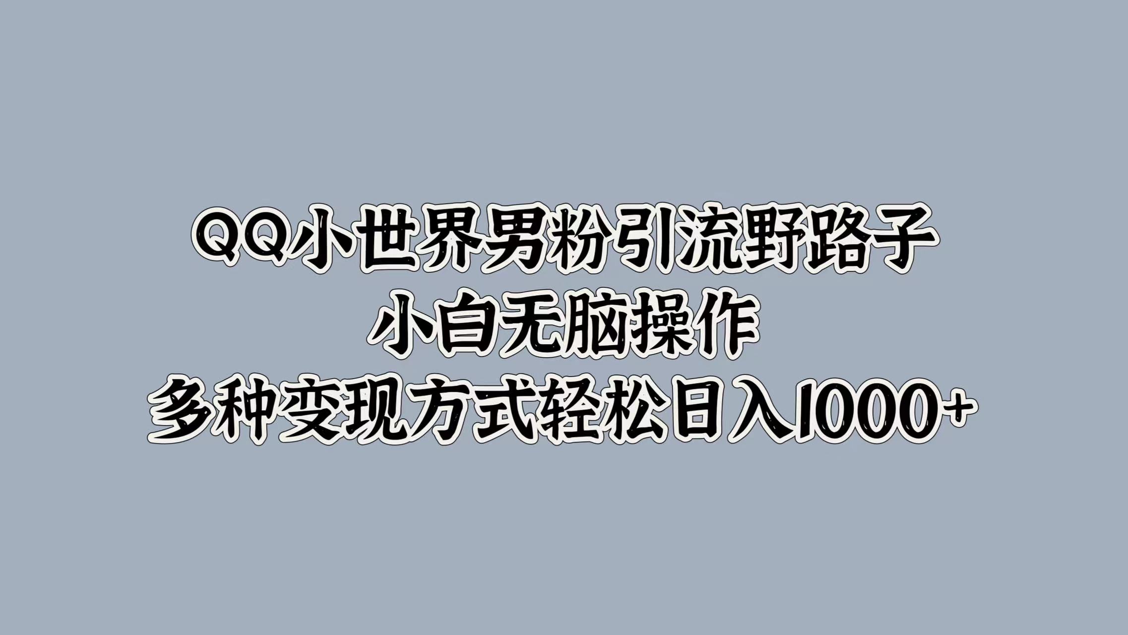 QQ小世界男粉引流野路子，小白无脑操作，多种变现方式轻松日入1000+|琦哥资源