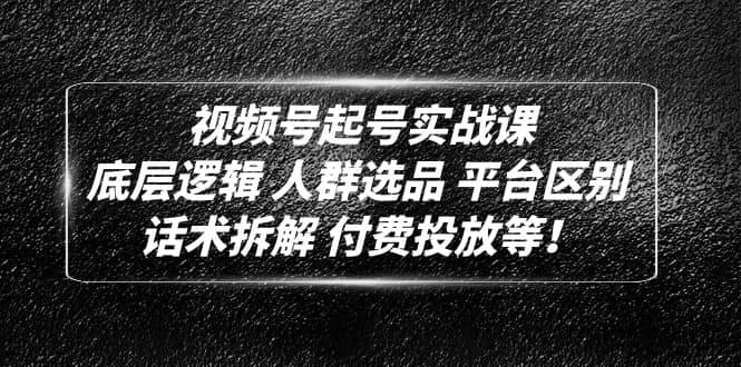 视频号起号实战课：底层逻辑 人群选品 平台区别 话术拆解 付费投放等|琦哥资源