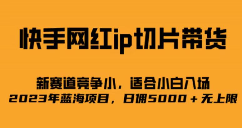 快手网红ip切片新赛道，竞争小事，适合小白 2023蓝海项目|琦哥资源