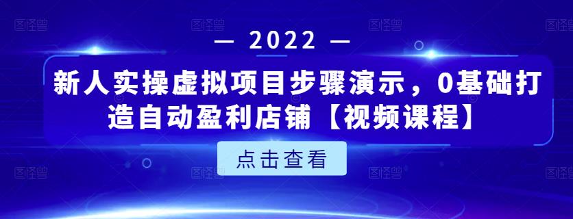 新人实操虚拟项目步骤演示，0基础打造自动盈利店铺【视频课程】|琦哥资源