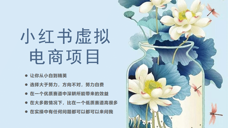 小红书虚拟电商从0到1，让你从小白到精英（20节实操课程）|琦哥资源