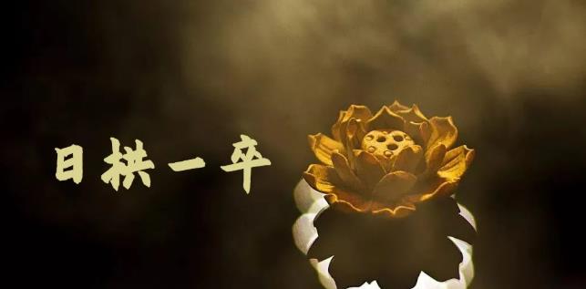 无脑搬砖，普通人可以复制的副业赚钱项目(附软件)|琦哥资源