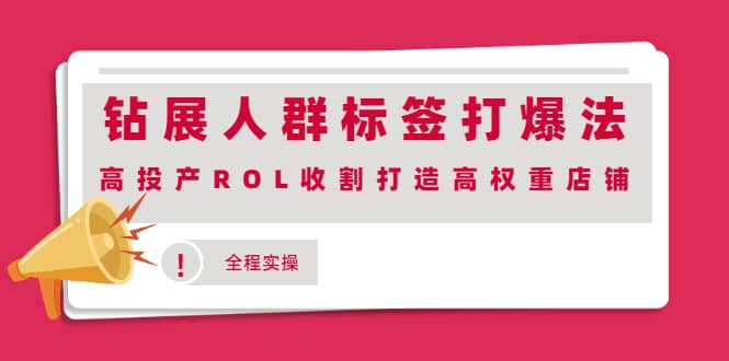 钻展人群标签打爆法，高投产ROL收割打造高权重店铺(全程实操)|琦哥资源