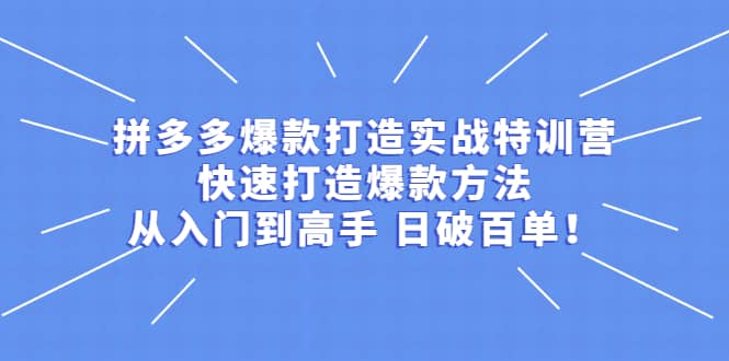 拼多多爆款打造实战特训营：快速打造爆款方法，从入门到高手 日破百单|琦哥资源