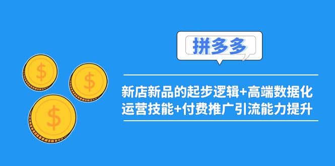 2022拼多多：新店新品的起步逻辑+高端数据化运营技能+付费推广引流能力提升|琦哥资源