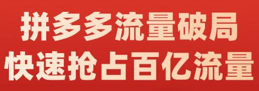 阿杰·拼多多流量破局:如何打黑标，爆款的思路，拼多多流量框架，快速抢占百亿流量|琦哥资源