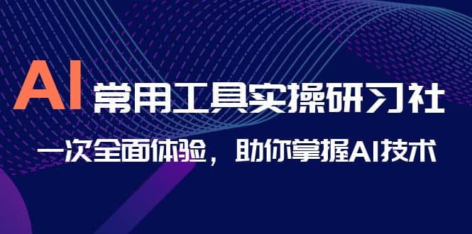 AI-常用工具实操研习社，一次全面体验，助你掌握AI技术|琦哥资源
