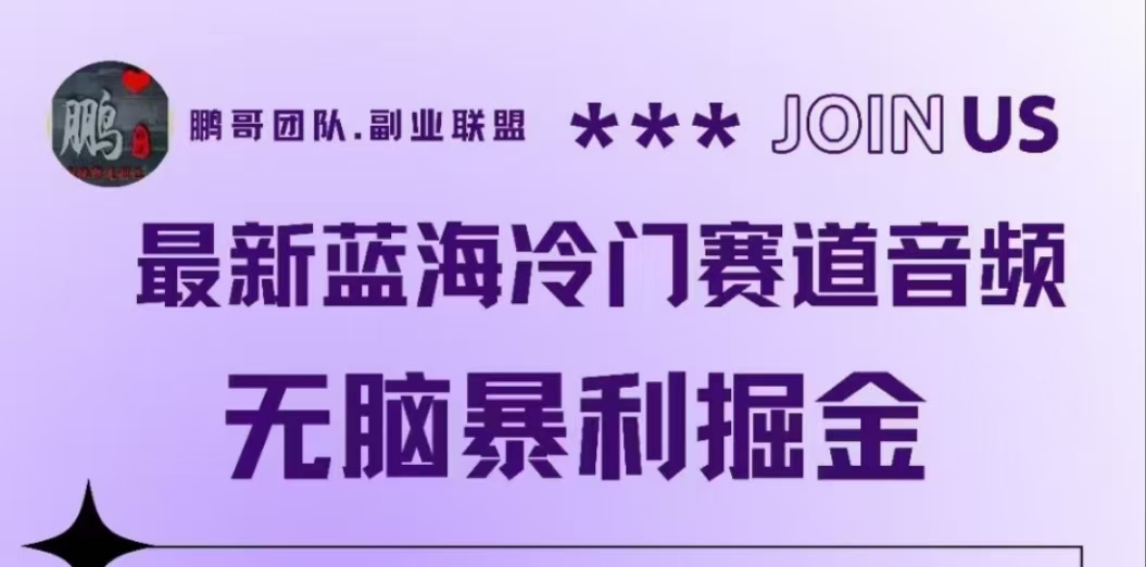 最新蓝海冷门赛道音频，无脑暴利掘金|琦哥资源