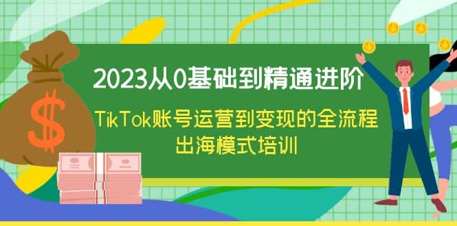 2023从0基础到精通进阶，TikTok账号运营到变现的全流程出海模式培训|琦哥资源