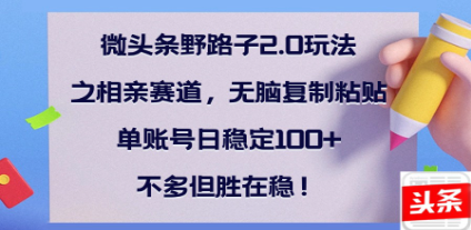 全网首发微头条野路子2.0玩法之相亲赛道，无脑搬砖复制粘贴，单账号日稳定300+保姆级教程|琦哥资源