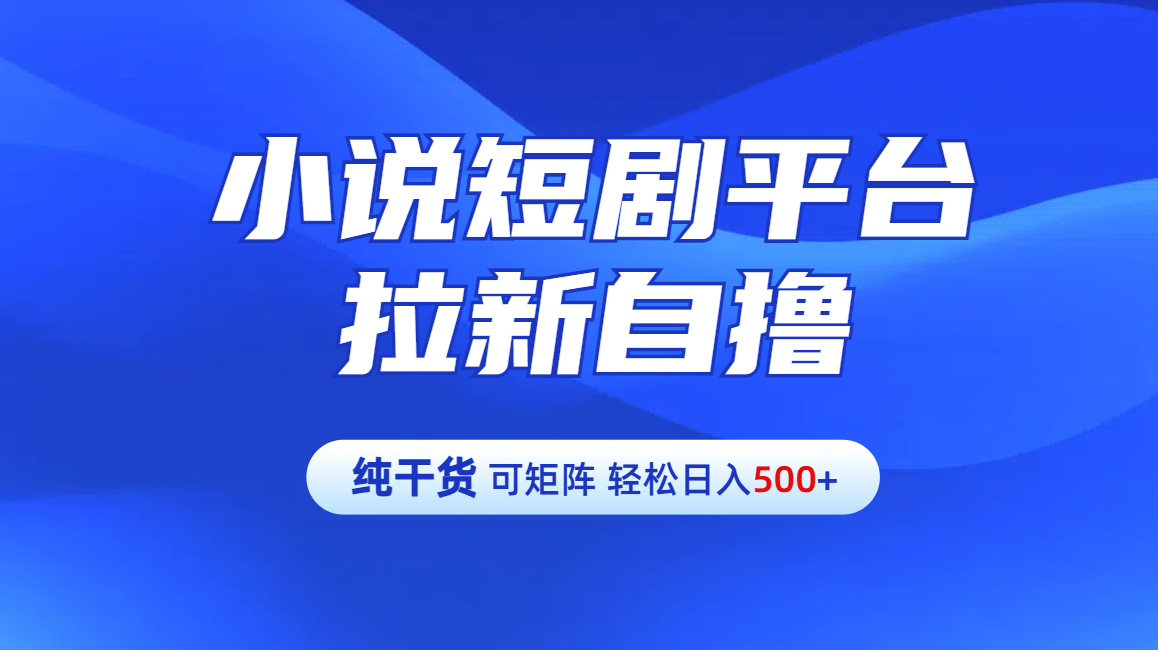 【纯干货】小说短剧平台拉新自撸玩法详解-单人轻松日入500+|琦哥资源