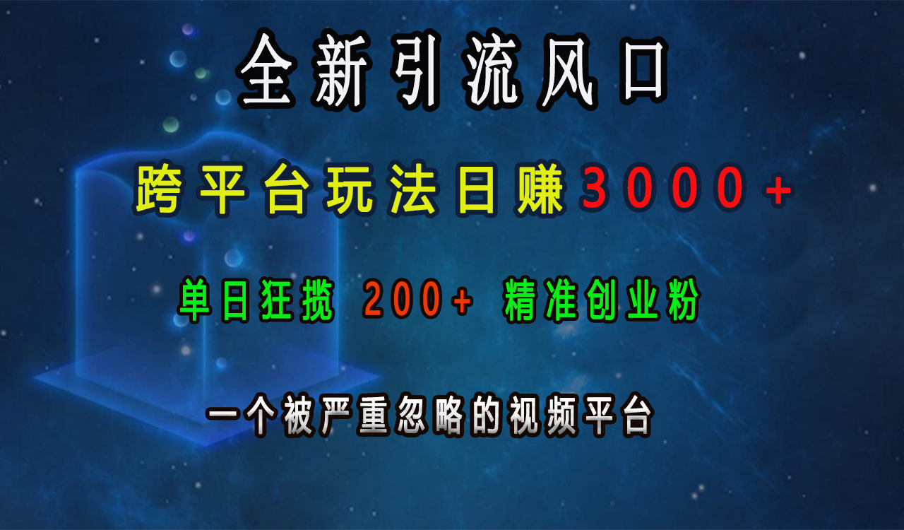 全新引流风口，跨平台玩法日赚3000+，单日狂揽200+精准创业粉，一个被严重忽略的视频平台|琦哥资源