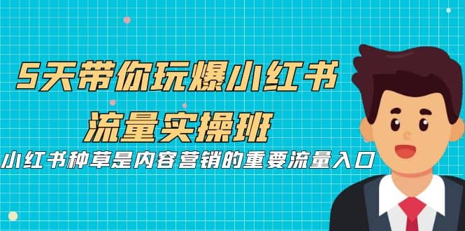5天带你玩爆小红书流量实操班，小红书种草是内容营销的重要流量入口|琦哥资源