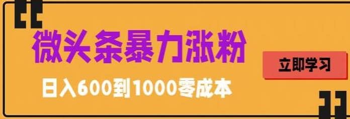 微头条暴力涨粉技巧搬运文案就能涨几万粉丝，简单0成本，日赚600|琦哥资源