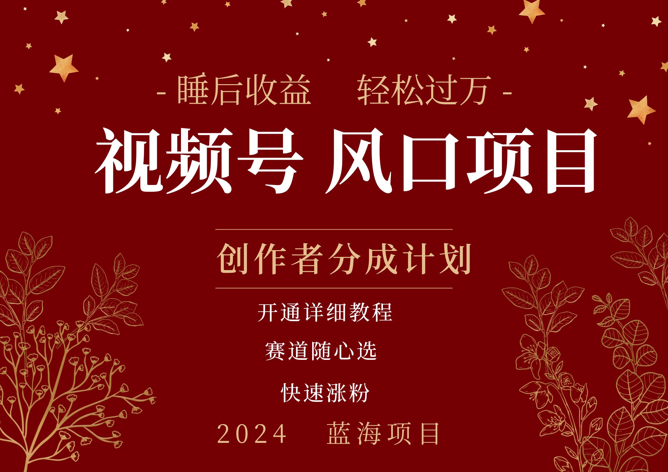 拥有睡眠收益的微信视频号大风口项目，轻松月入过万+，多赛道选择，可矩阵，玩法简单轻松上手|琦哥资源